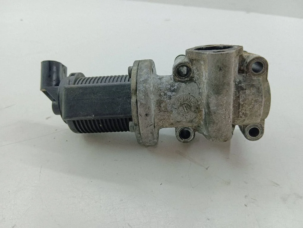 EGR vārsts 50024005