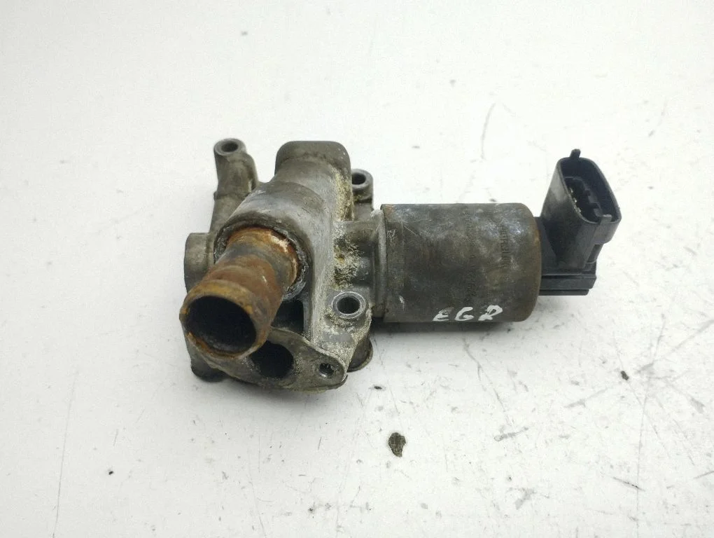 EGR valve