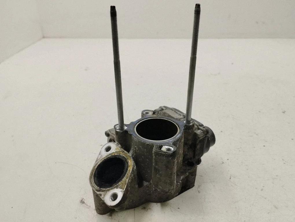 EGR valve 8200693739