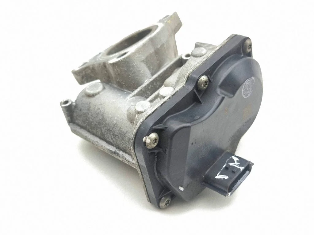 EGR-klapp H8201143495