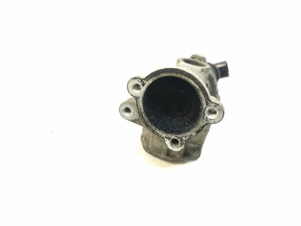 EGR vārsts 55201144