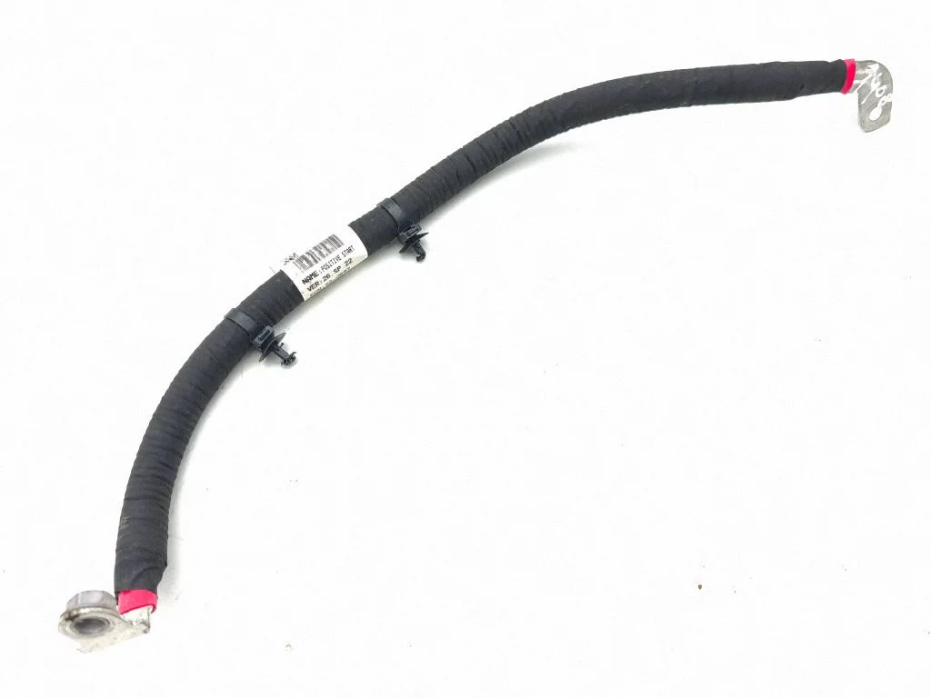 Plusa vads (akumulatora) 297D50100R