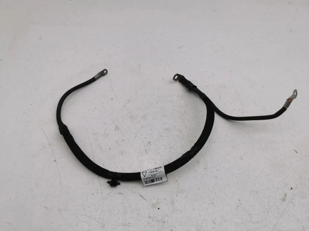 Positive cable (battery) 241196PD0C