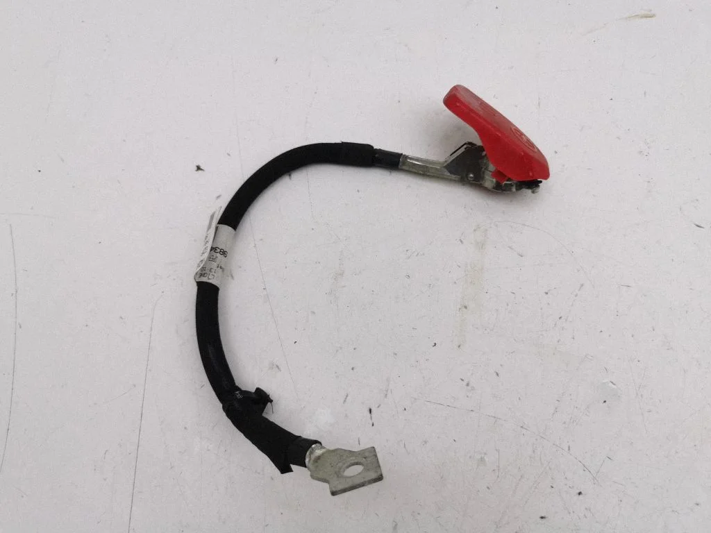 Positive cable (battery) 9834292680