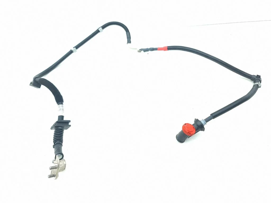 Plusa vads (akumulatora) 7953074