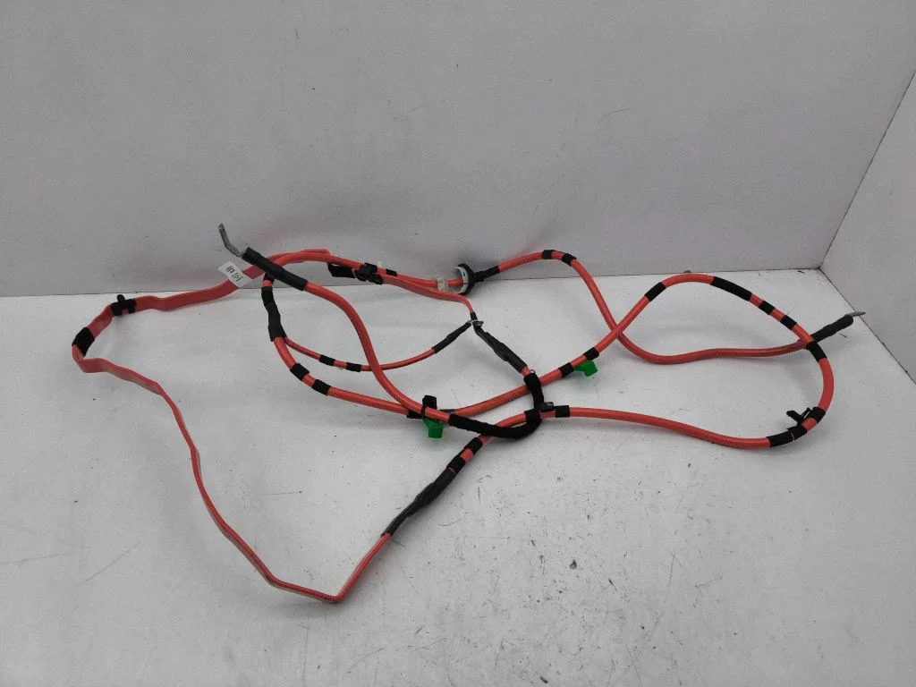Plusa vads (akumulatora) 8W2971225B