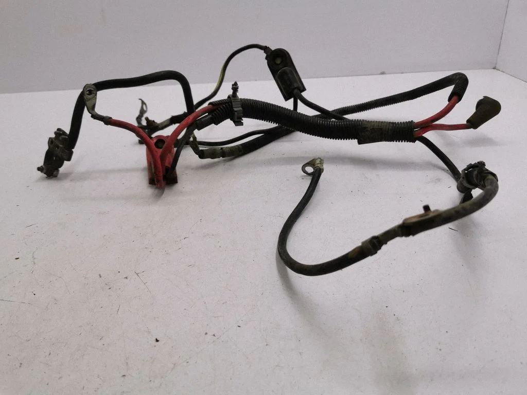Plusa vads (akumulatora)