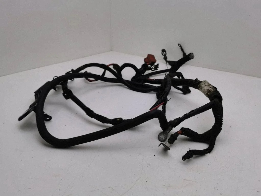 Plusa vads (akumulatora) 96555AJ