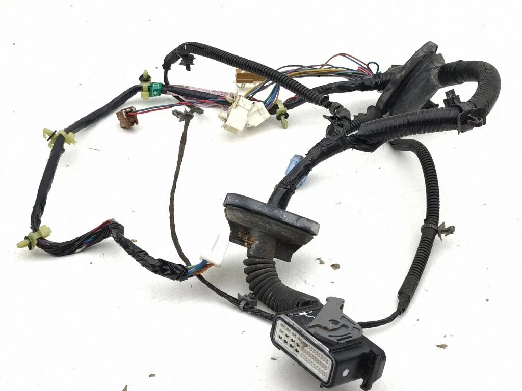 Front door wiring loom 24125CD401