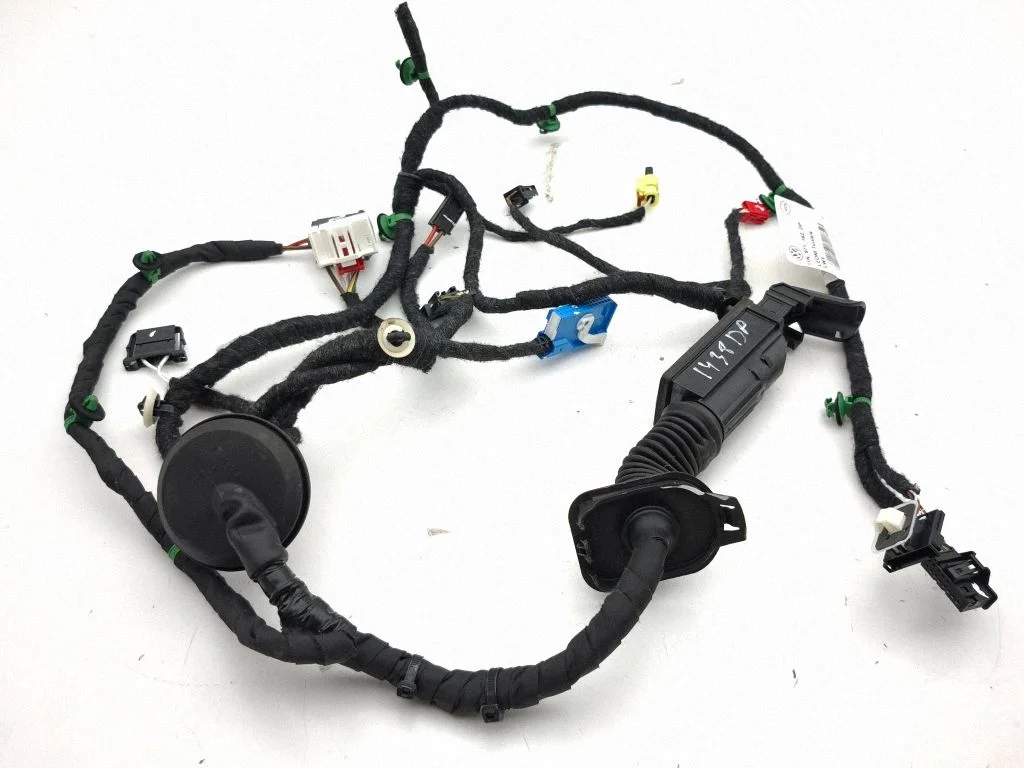 Front door wiring loom 11N971162DP
