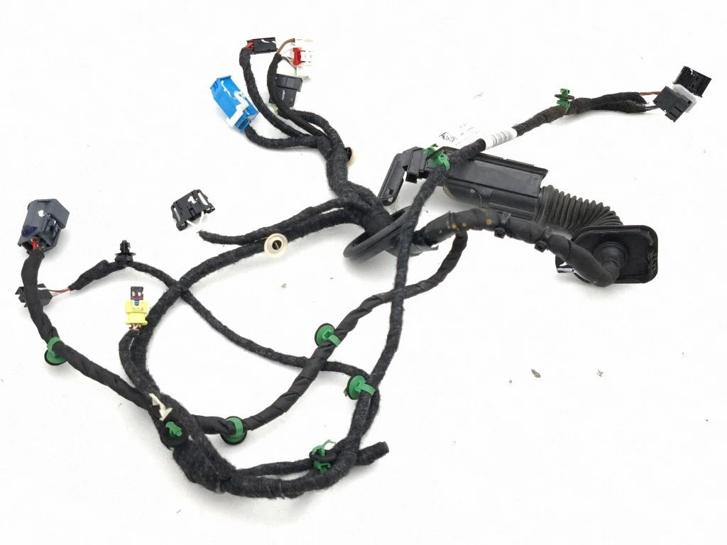 Front door wiring loom 11N971161DP