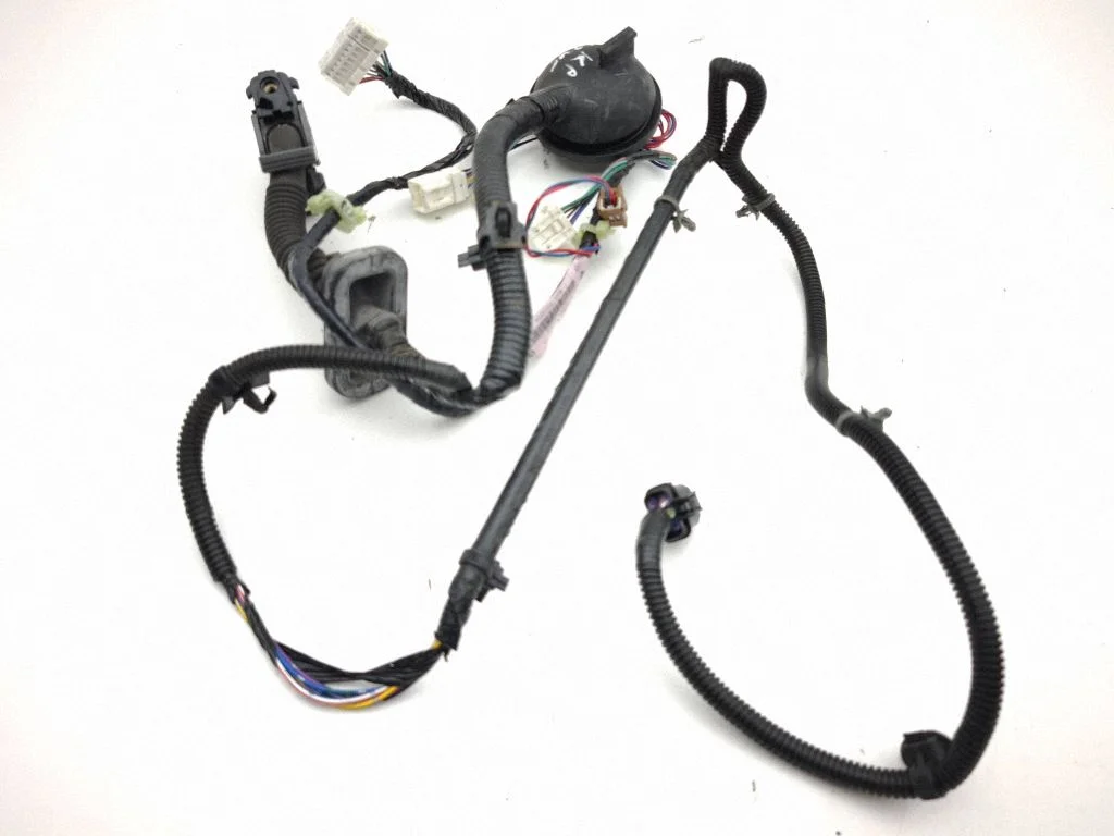 Front door wiring loom 24125CD711