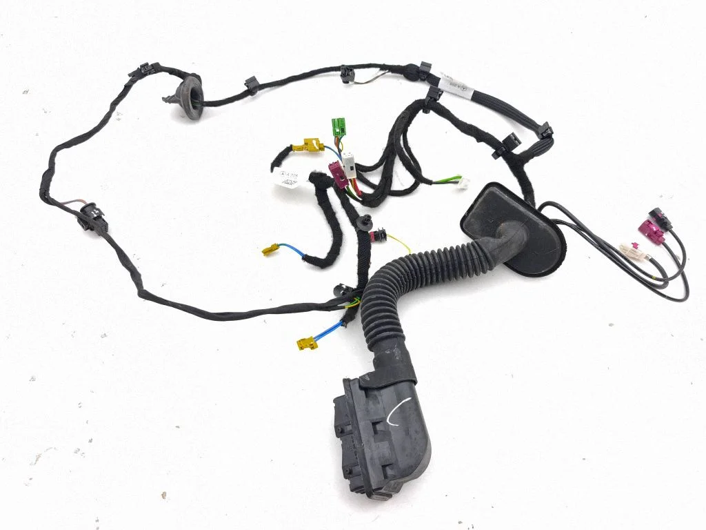 Front door wiring loom A2055400249