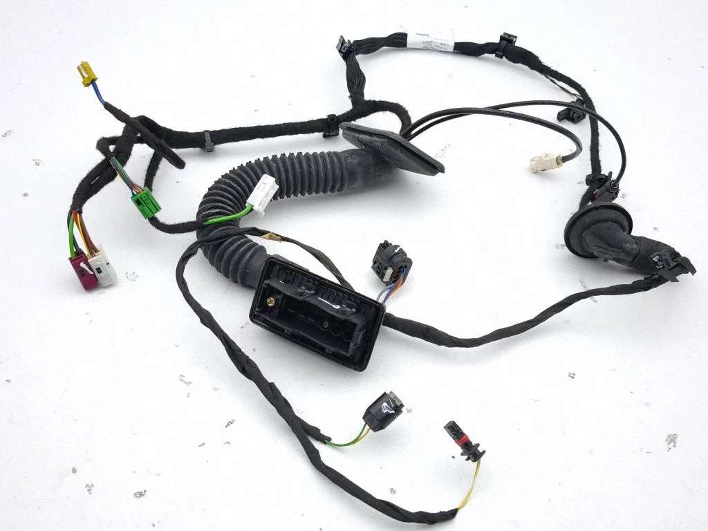 Front door wiring loom A2055409948