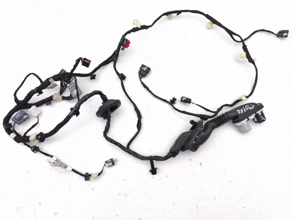 Front door wiring loom SV4T14631KERXF