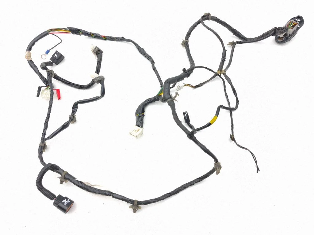 Front door wiring loom MB894124