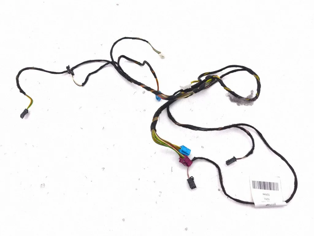 Front door wiring loom A2185404507