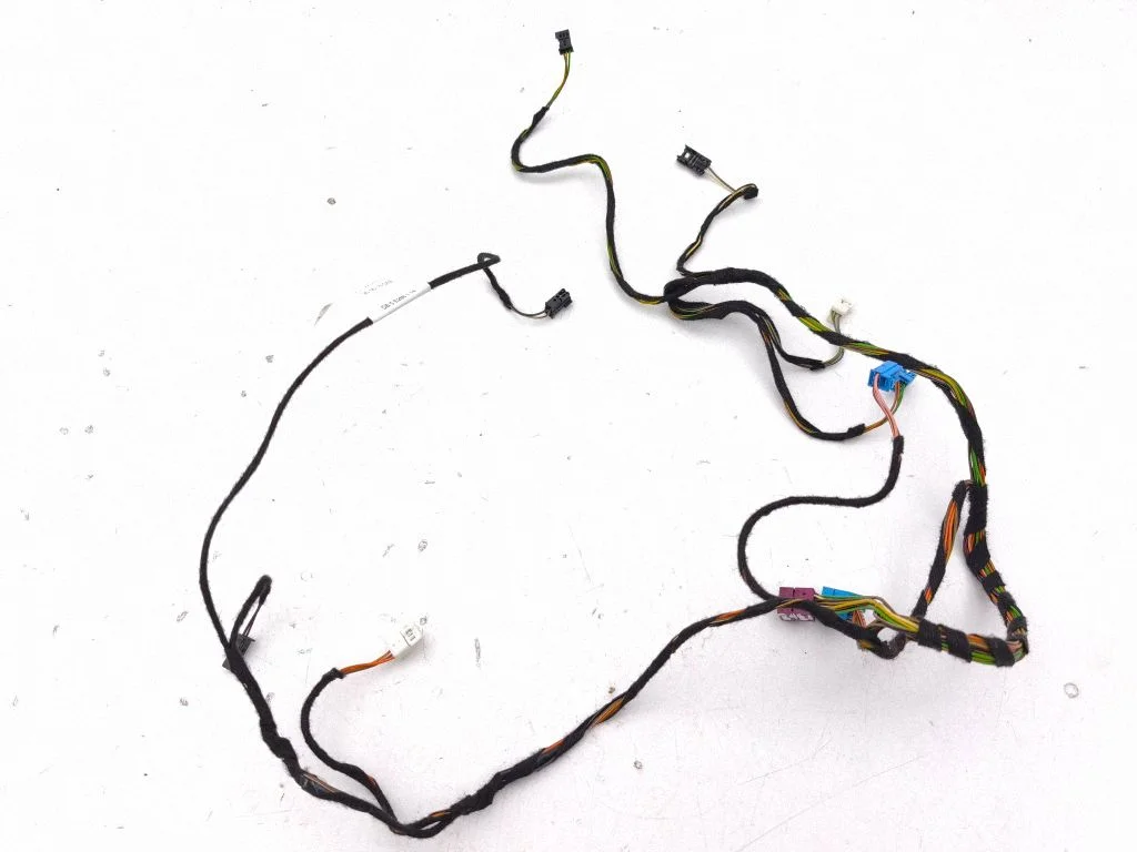 Front door wiring loom A2185404307
