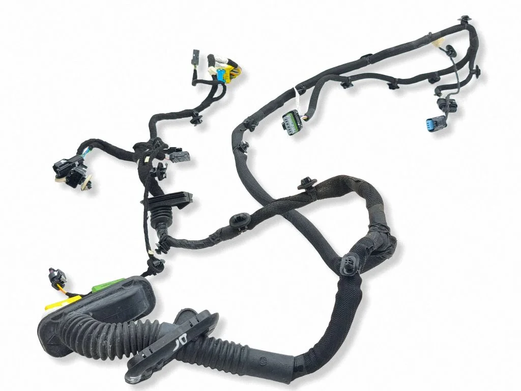 Front door wiring loom 9840884080