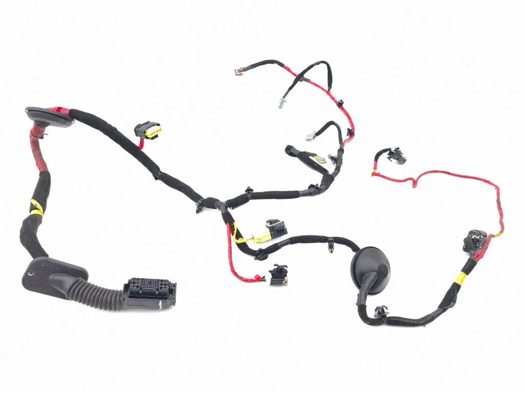 Front door wiring loom 91611G2020