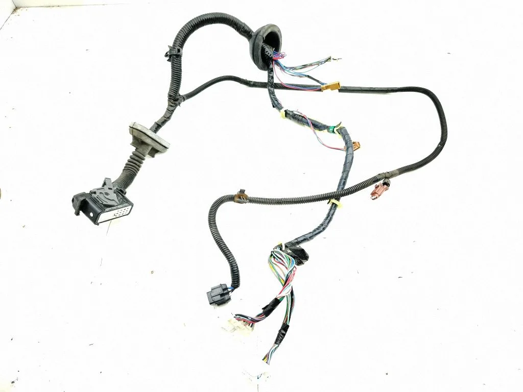 Front door wiring loom 24124