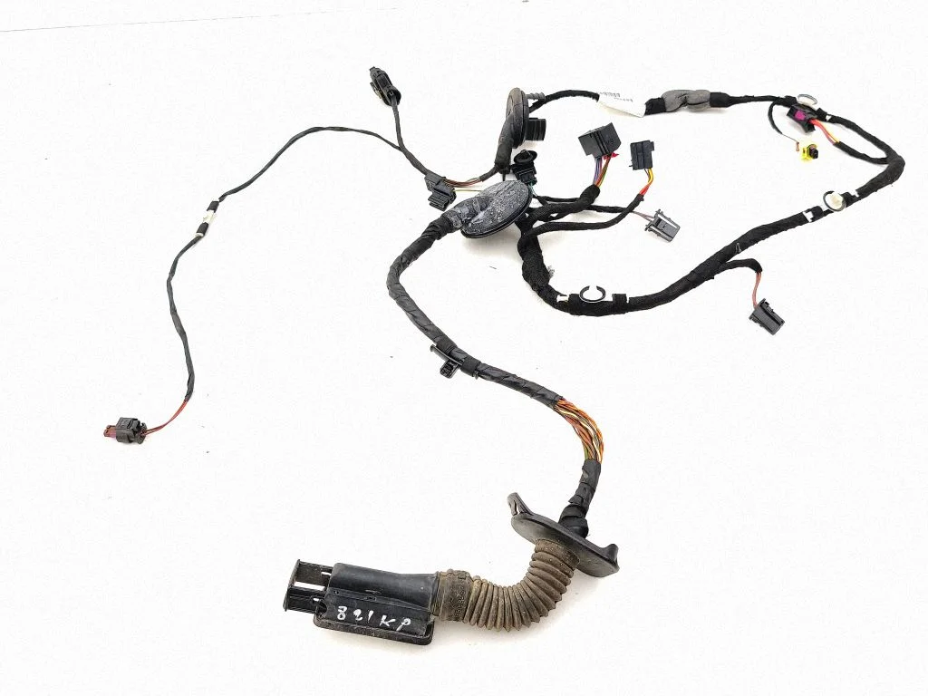 Front door wiring loom 4G5971030EF