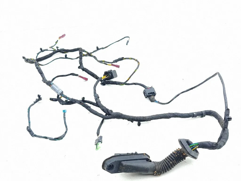 Front door wiring loom 405697B1