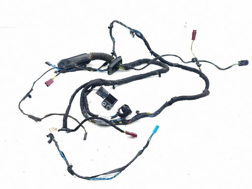 Front door wiring loom 9807761