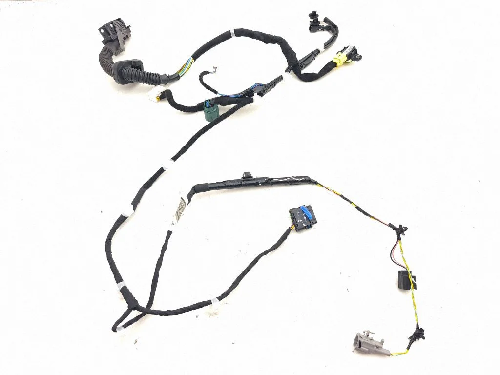 Front door wiring loom 241255SJ0B