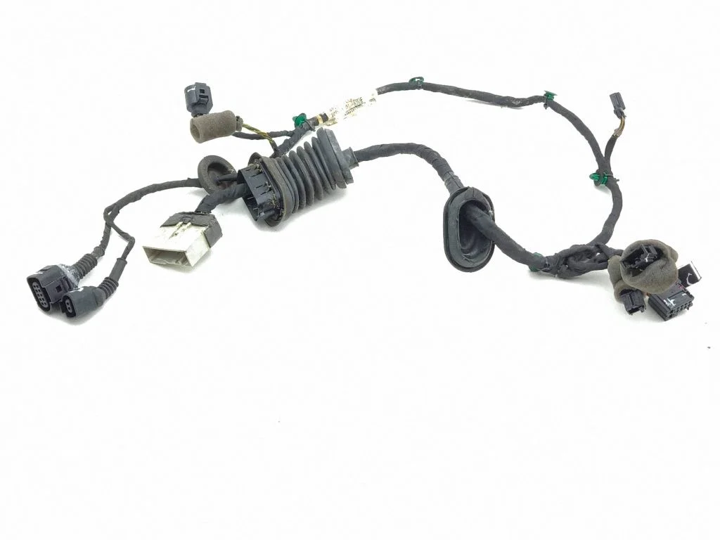 Front door wiring loom 3W5971121B