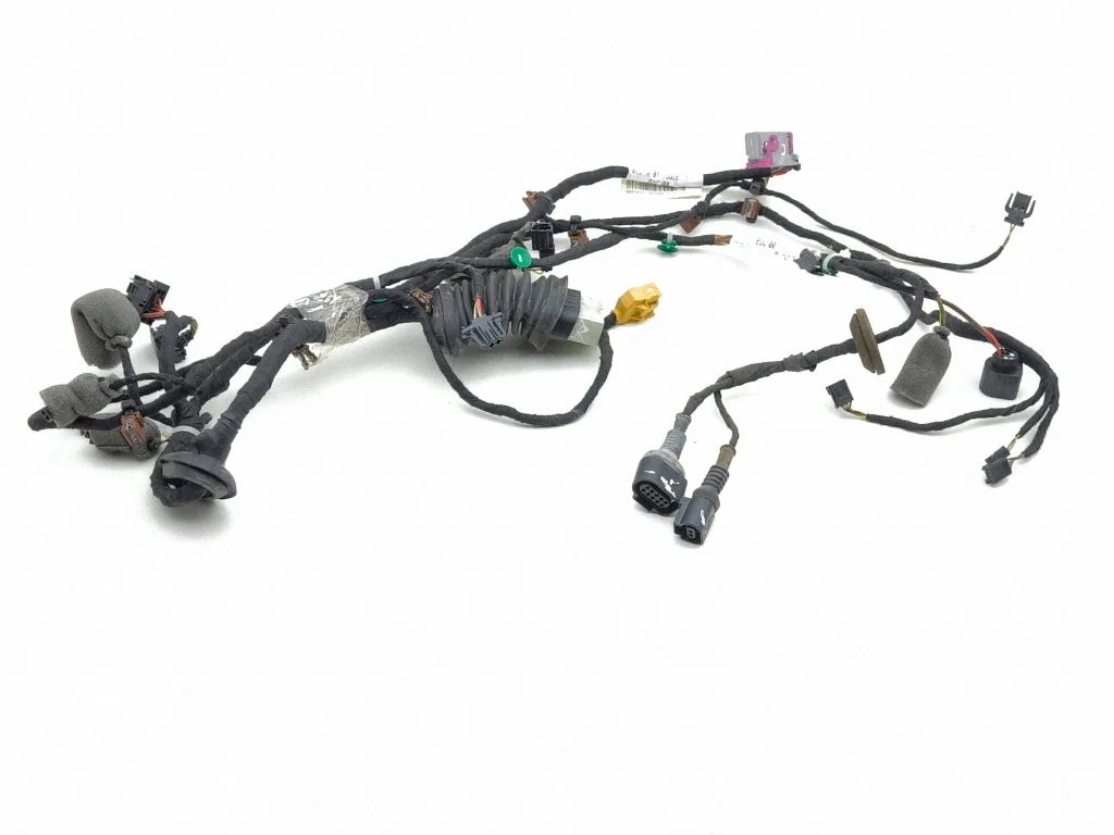 Front door wiring loom 3W5971120B