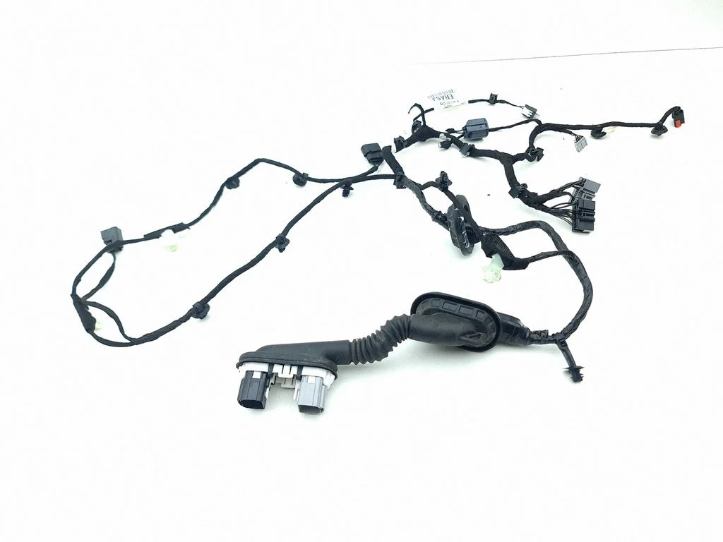 Front door wiring loom LX6T14630