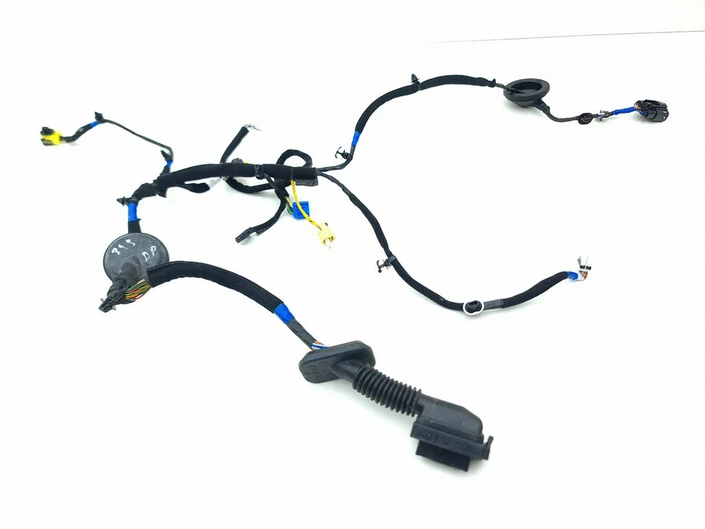 Front door wiring loom 91605G4050