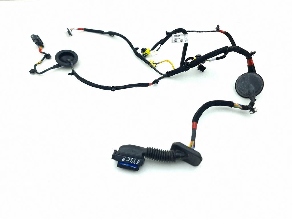 Front door wiring loom 91615G4070
