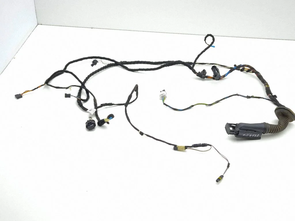 Front door wiring loom 5A17C8901