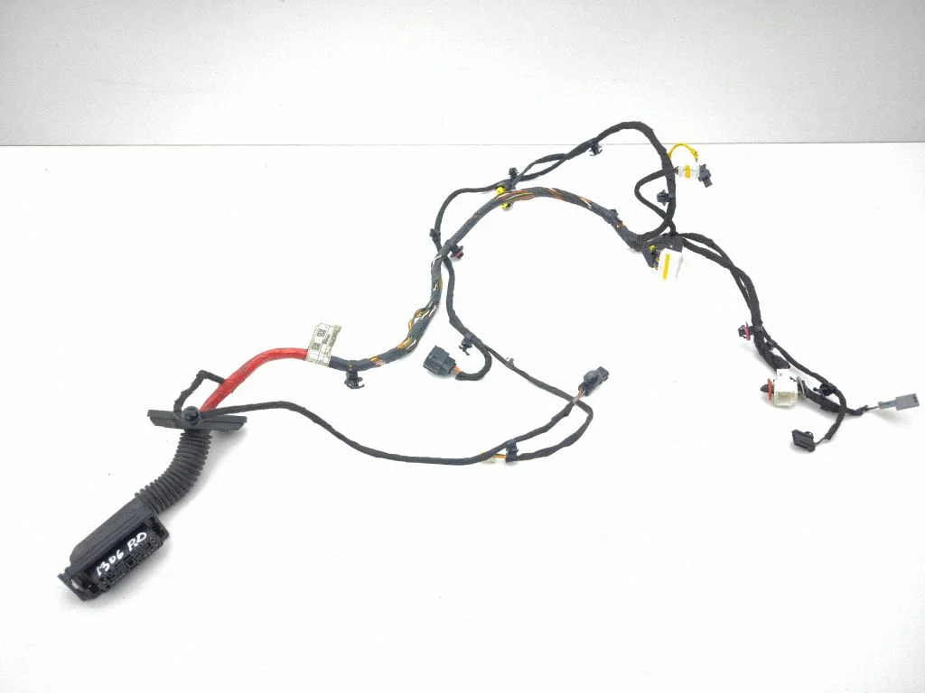 Front door wiring loom 91600N7260
