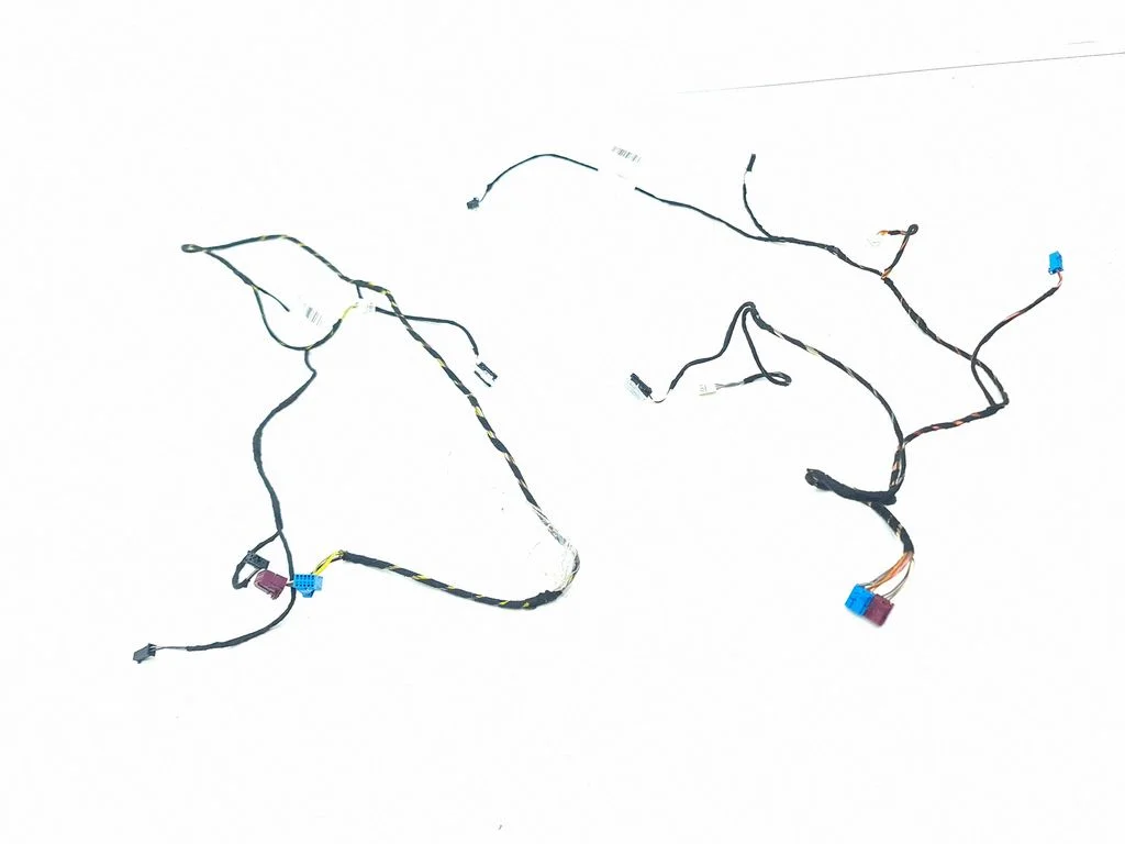 Front door wiring loom A2185403405