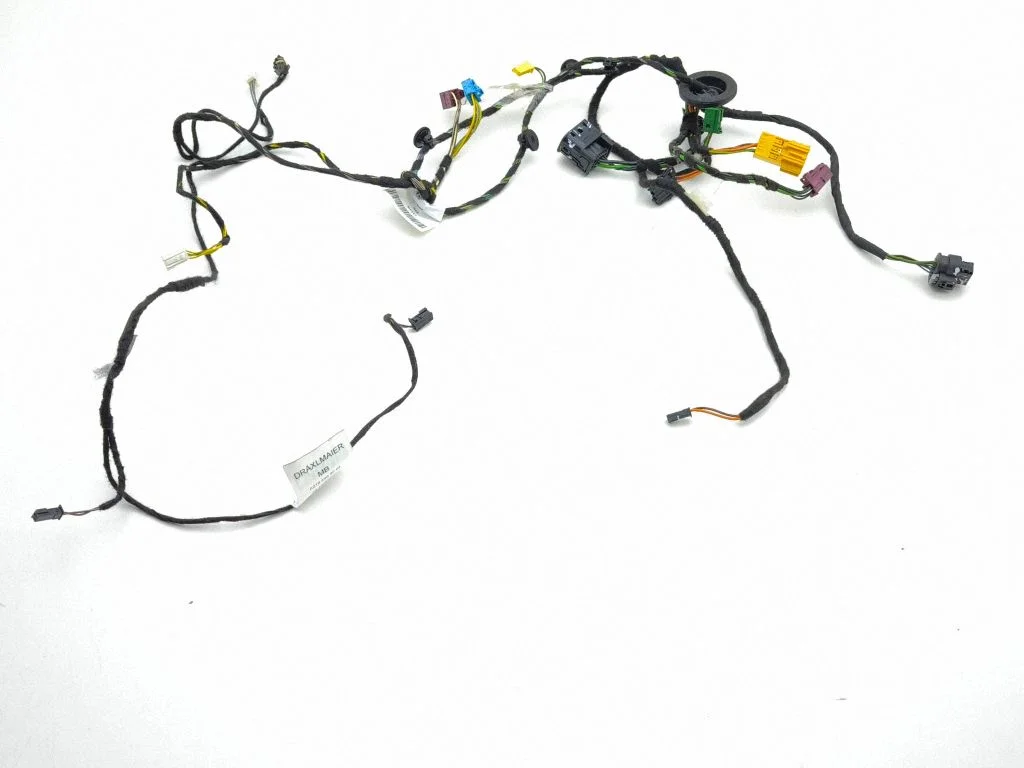 Front door wiring loom A2185403005