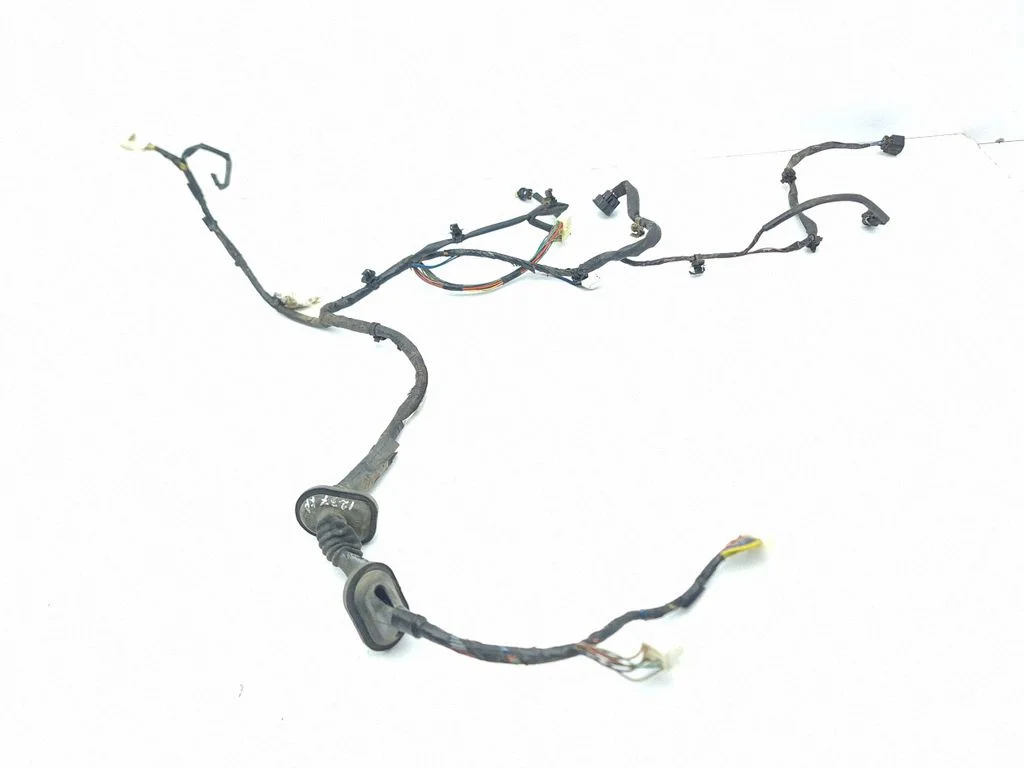 Front door wiring loom – left