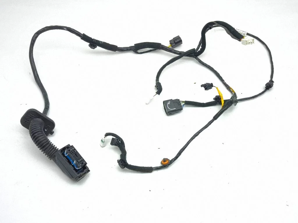 Front door wiring loom 916B0Q0AY0