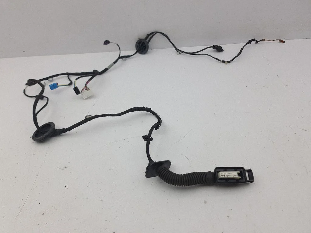 Front door wiring loom – left