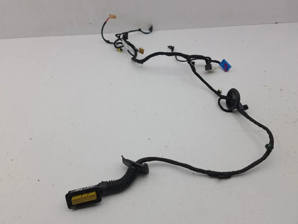 Front door wiring loom 5E8971120DE