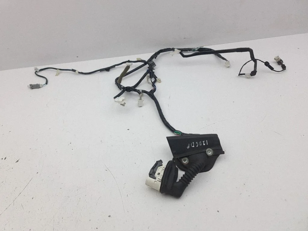 Priekšējo durvju vadu instalācija 8215153402A