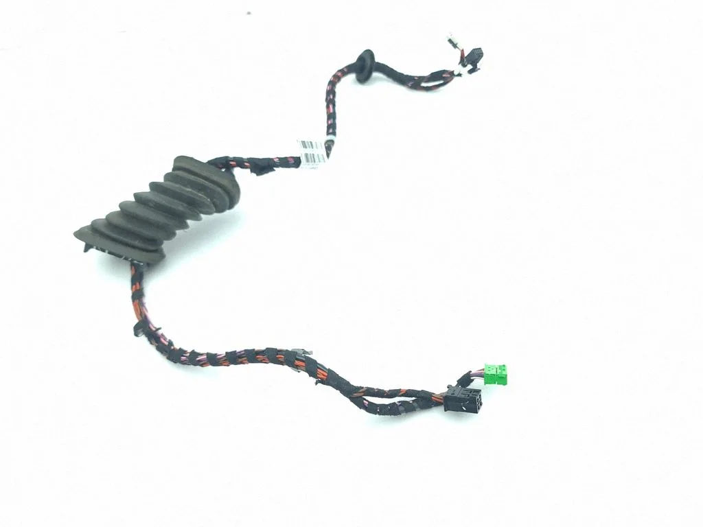 Front door wiring loom 450255DA0A