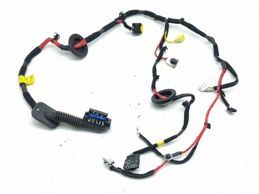 Front door wiring loom 91615