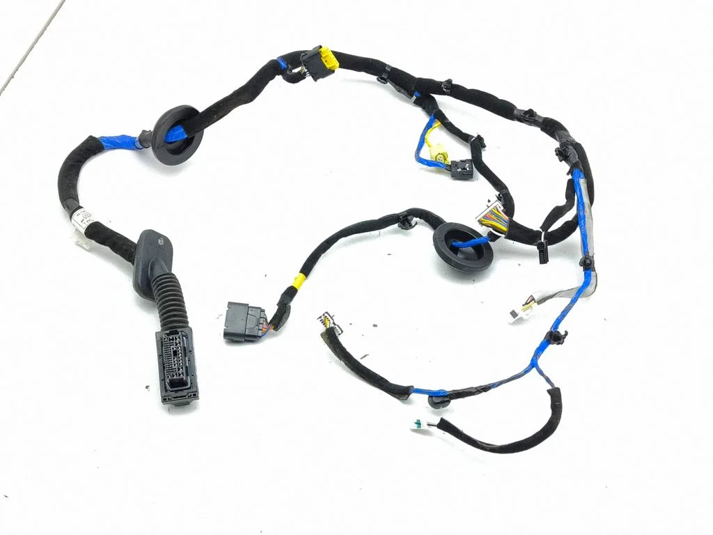 Front door wiring loom 91605
