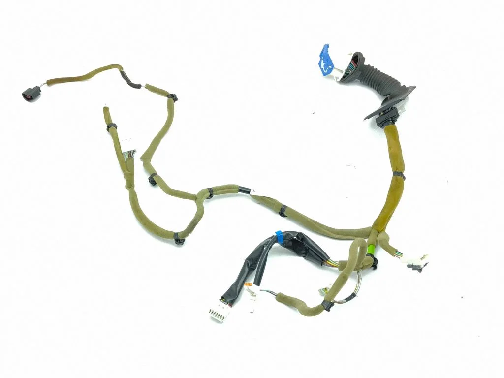 Front door wiring loom EH7067190Z02