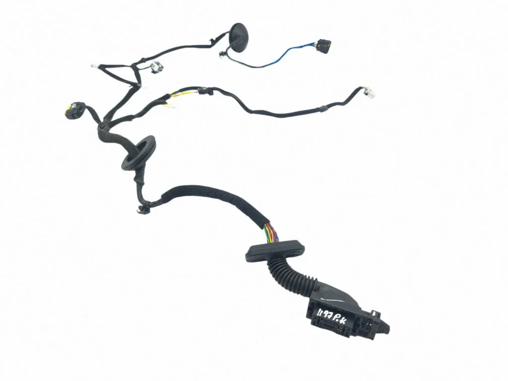 Front door wiring loom 91610J7160