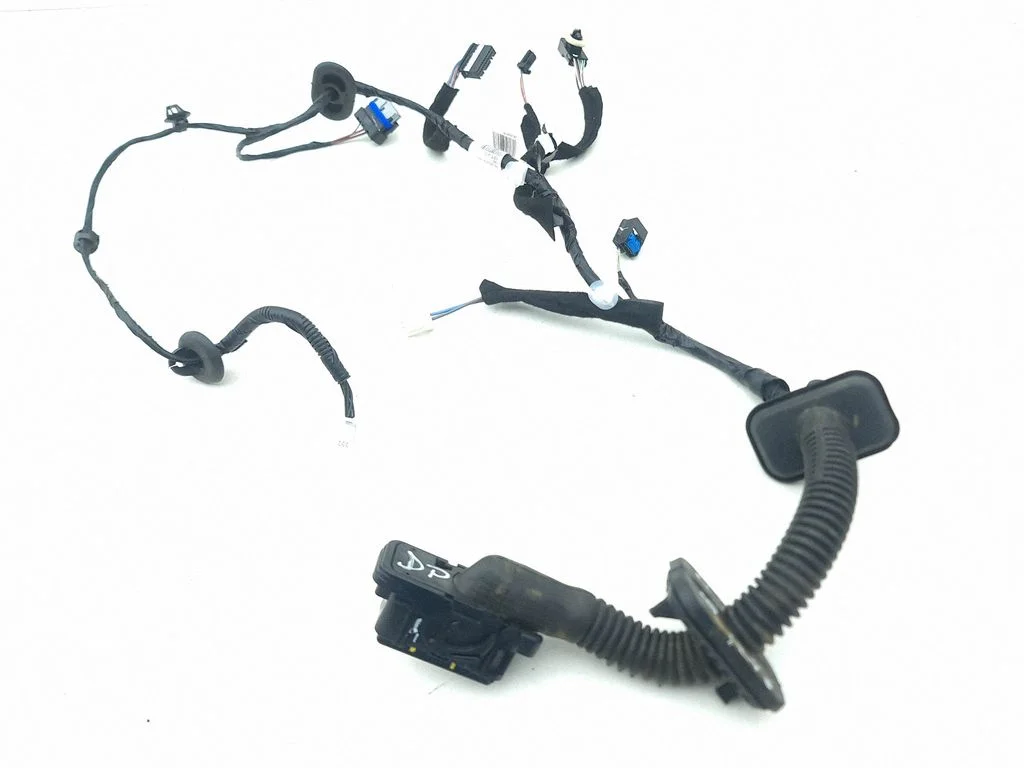 Front door wiring loom 241243457R