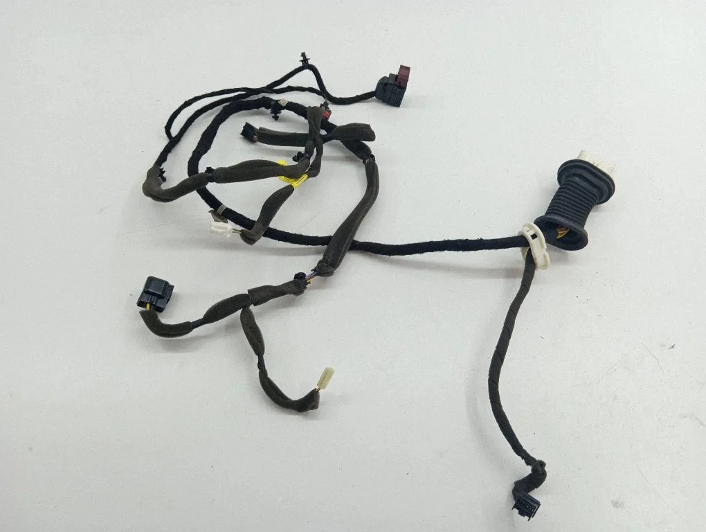 Front door wiring loom 95491036